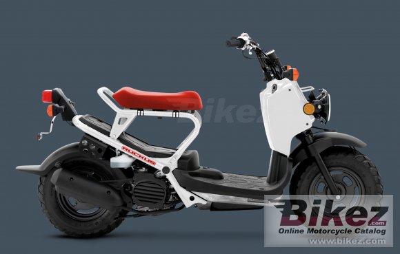 2013 Honda Ruckus photo